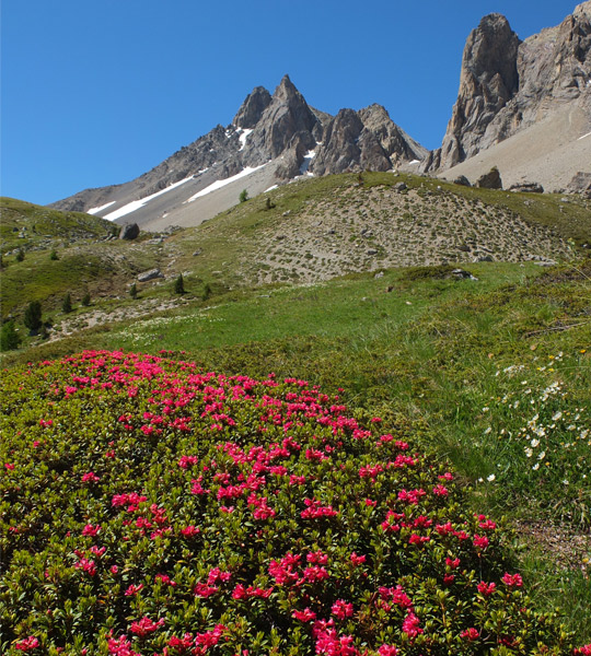 Lac de haute montagne à Névache Hautes Alpes