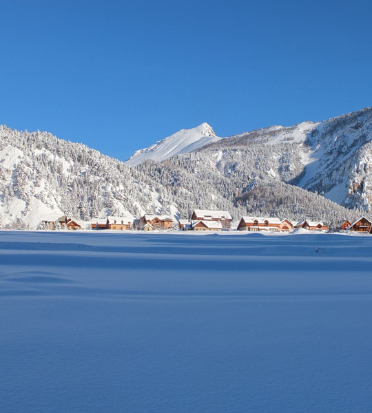 pommes de pin givrées en haute Clarée