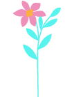 illustration fleur botanique Clarée